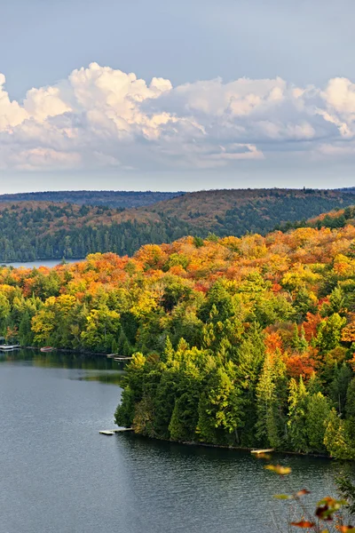 Jesień las i jezioro — Zdjęcie stockowe
