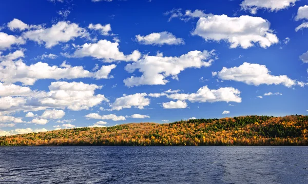 Bosque de otoño y lago — Foto de Stock