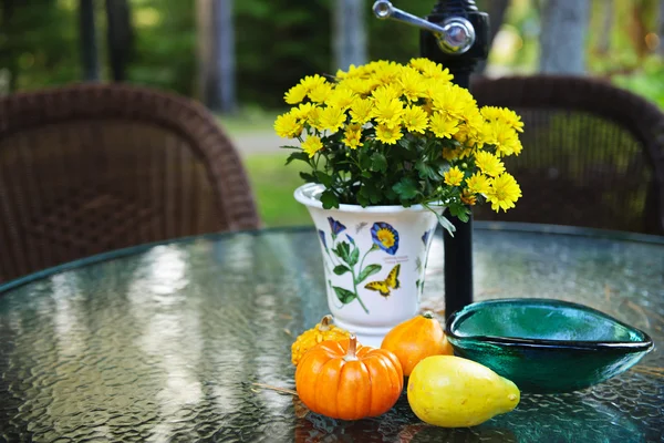 Tavolo autunnale con zucche e fiori — Foto Stock