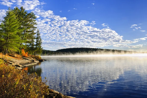 Orilla del lago de otoño con niebla — Foto de Stock