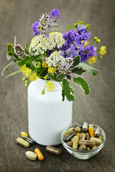 Ervas medicinais e plantas — Fotografia de Stock