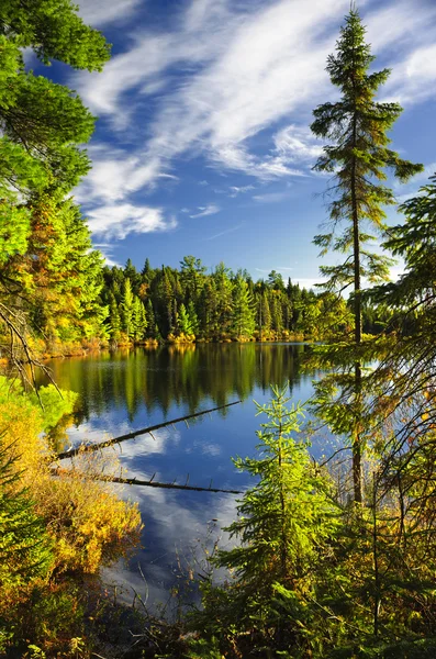Bosque y cielo reflejándose en el lago — Foto de Stock