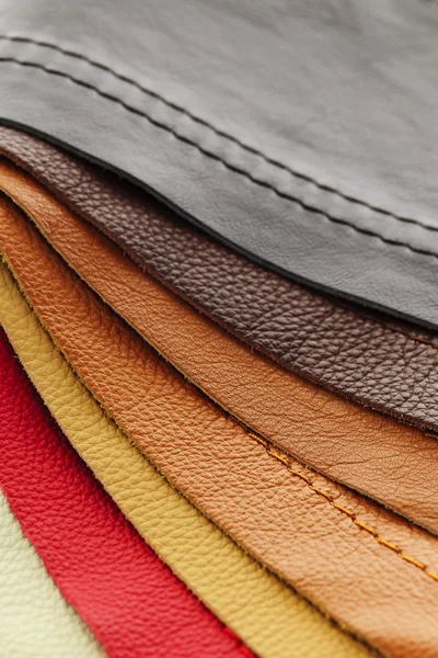 Leather upholstery samples — Stock Photo, Image