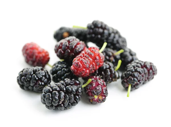 Fresh mulberries — Stock Photo, Image