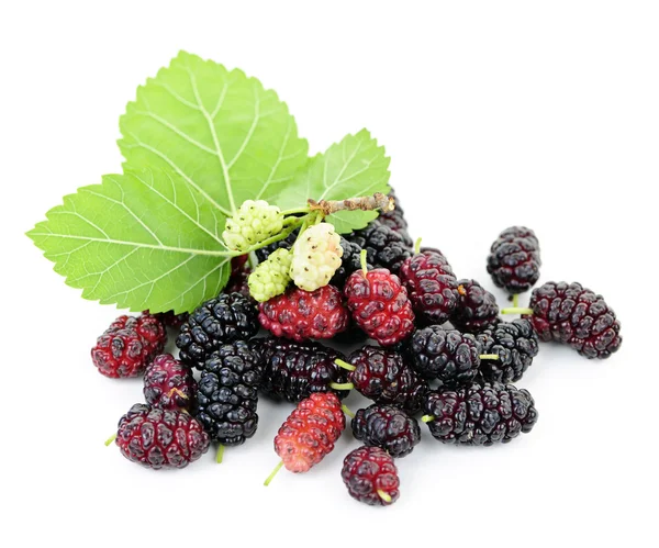 Fresh mulberries with leaves — Stock Photo, Image