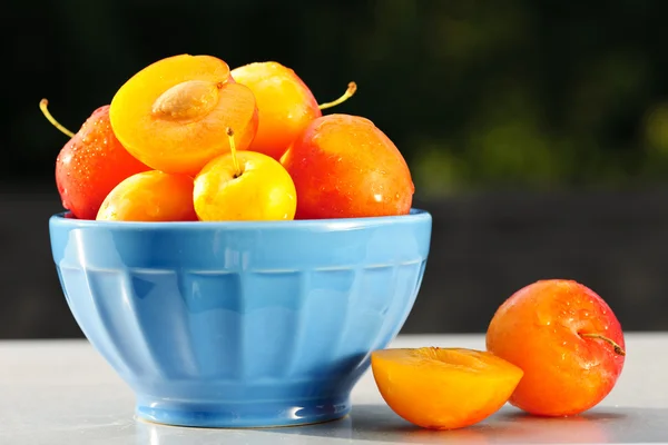 Plums in bowl — Stock Photo, Image