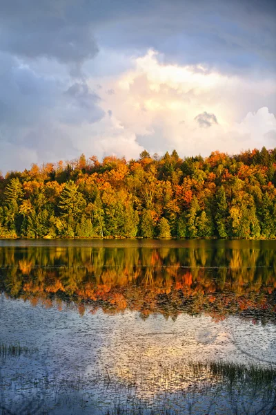 Осенний лес и озеро — стоковое фото