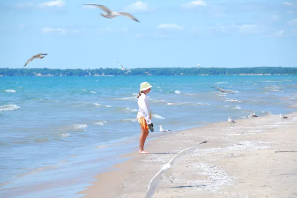 Girl beach seagulls — Stock Photo, Image
