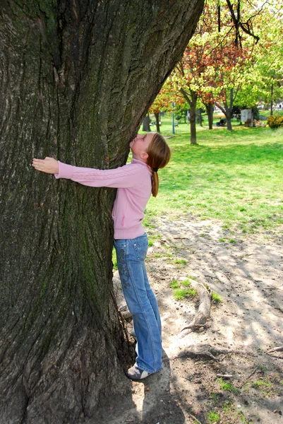 Menina e árvore grande — Fotografia de Stock