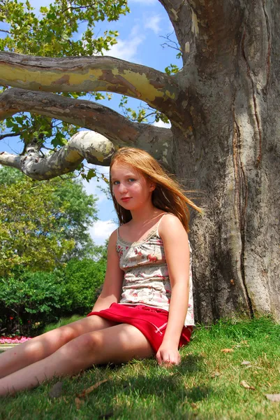 Genç kız ağaç — Stok fotoğraf