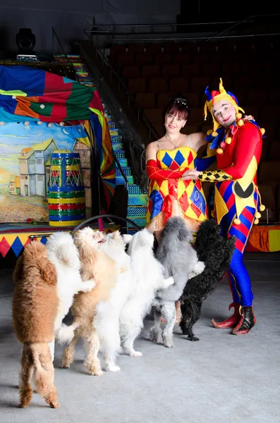 stock image Harlequin and Colombina in Love