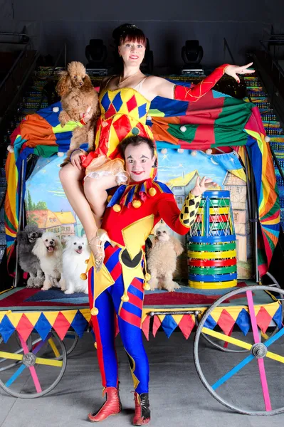 丑角举起 colombina 和贵宾犬 — 图库照片