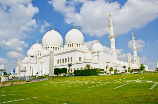 Sheikh zayed Camisi