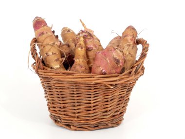 Jerusalem artichoke clipart