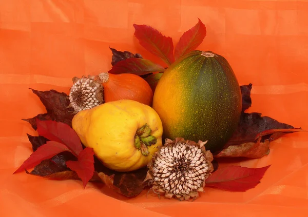 Herbstliches arrangement — Stock Photo, Image