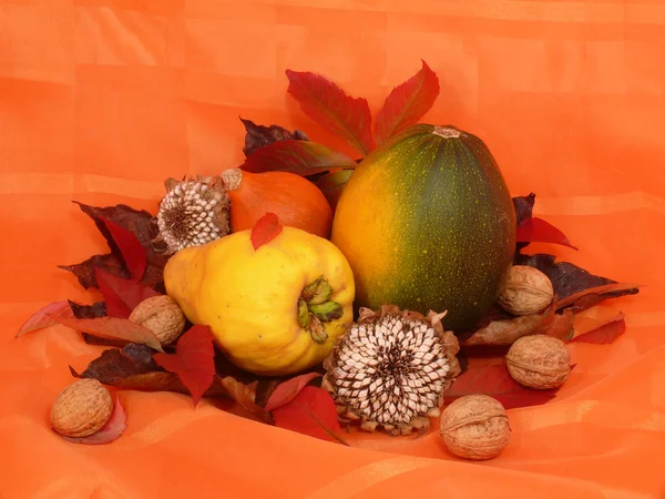 Autumnal arrangement — Stock Photo, Image