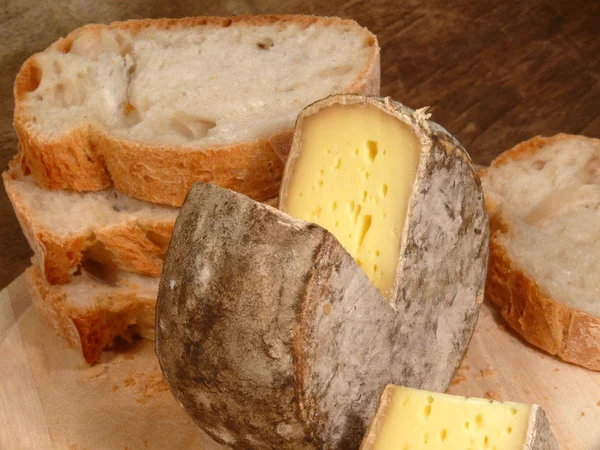 Mjuk ost från Frankrike — Stockfoto