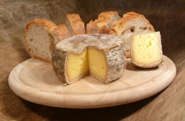 Мягкий сыр Франции — стоковое фото