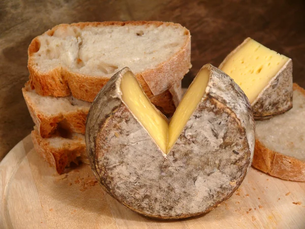 Měkký sýr z Francie — Stock fotografie
