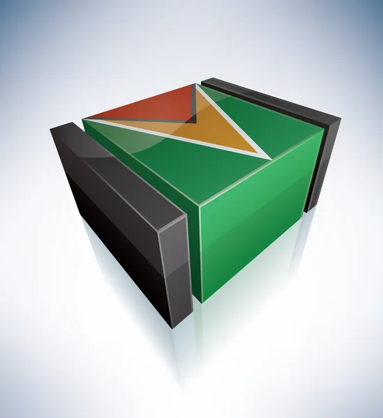 3D-vlag van guyana — Stockvector