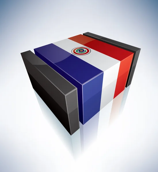 3D-vlag van paraguay — Stockvector
