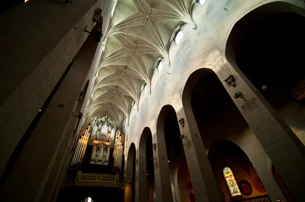 トゥルクの大聖堂 — ストック写真