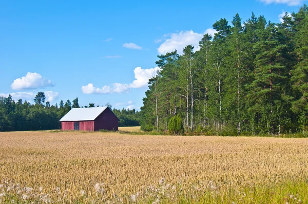 stock image Red barn