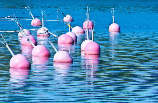 Many buoys — Stock Photo, Image