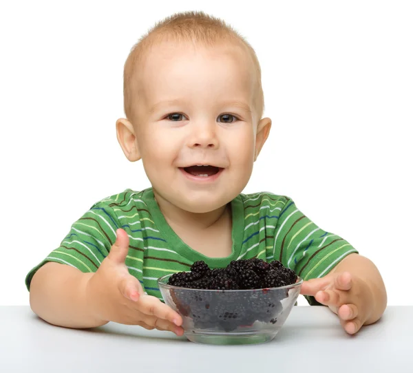 Niño alegre está comiendo zarzamora —  Fotos de Stock