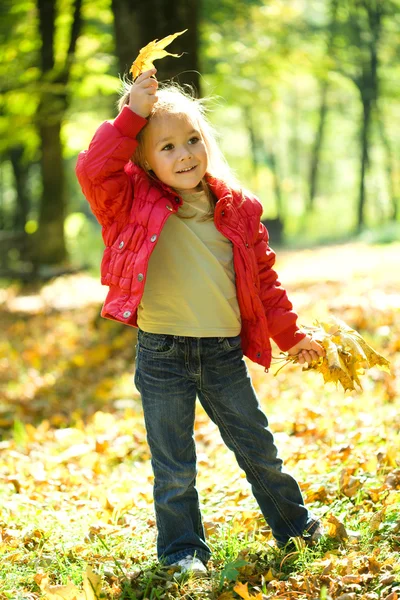 Κοριτσάκι παίζει στο πάρκο φθινόπωρο — Φωτογραφία Αρχείου