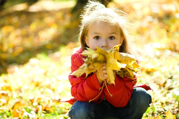 Маленькая девочка играет в осеннем парке — стоковое фото