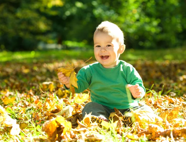 Liten pojke spelar i höst park — Stockfoto