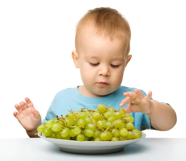 Liten pojke äter vindruvor — Stockfoto