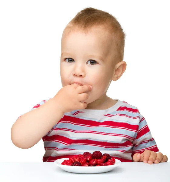 Glad liten pojke med jordgubbar — Stockfoto