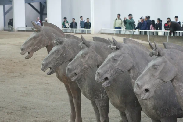 Terracotta Army Xian / XI