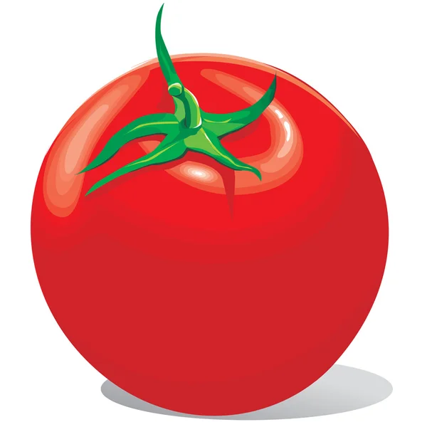 Tomate rouge avec une queue verte — Image vectorielle
