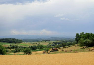 Landscape near Guca, Serbia clipart