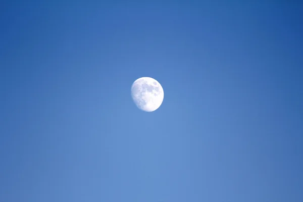 Morning Moon — Stock Photo, Image