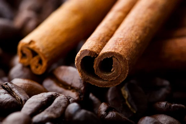Skořicové tyčinky a kávová zrna — Stock fotografie