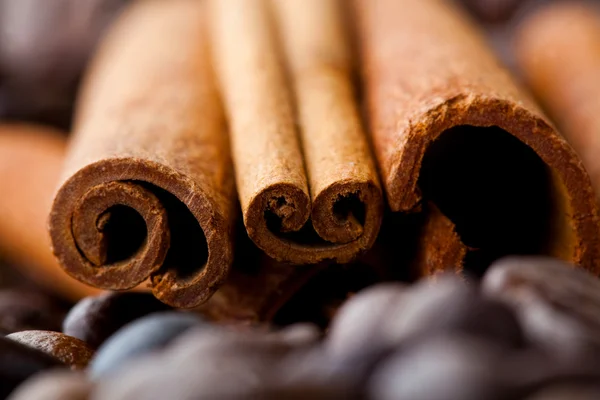 Palitos de canela y granos de café — Foto de Stock