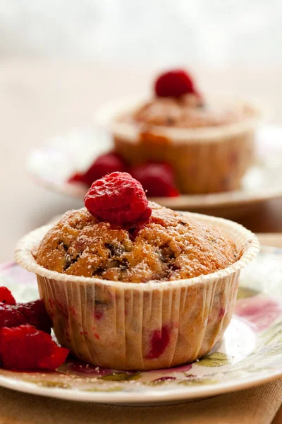 stock image Raspberry muffins