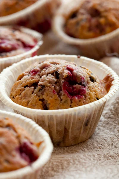 Raspberry muffins — Stockfoto