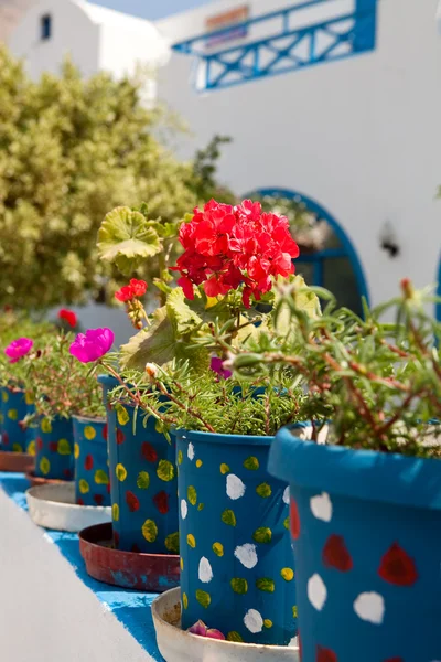 Geranium pots, Santorini, Greece — Stock Photo, Image