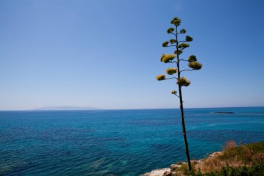 Coastline in Greece