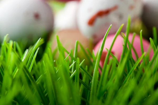 Gras Hintergrund mit Ostereiern — Stockfoto