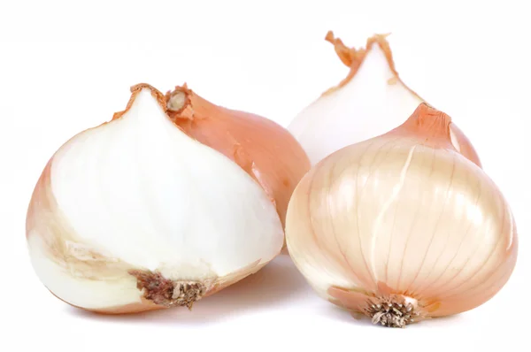 Stock image Group of onions isolated in white