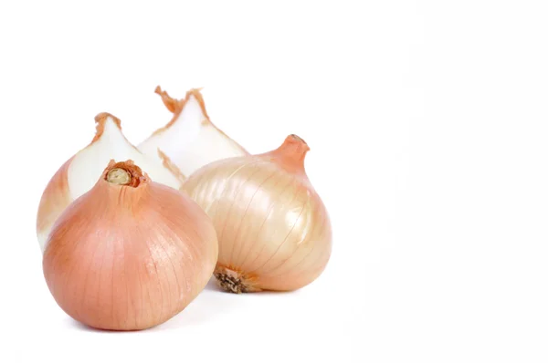stock image Group of onions isolated in white