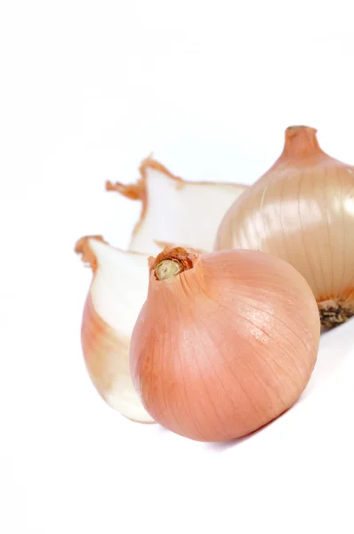 stock image Group of onions isolated in white