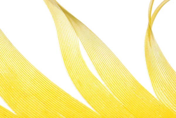 黄色の羽の抽象的なテクスチャ背景 — ストック写真