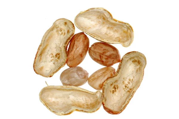 Kacang terisolasi — Stok Foto